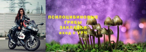 молекула духа Абинск